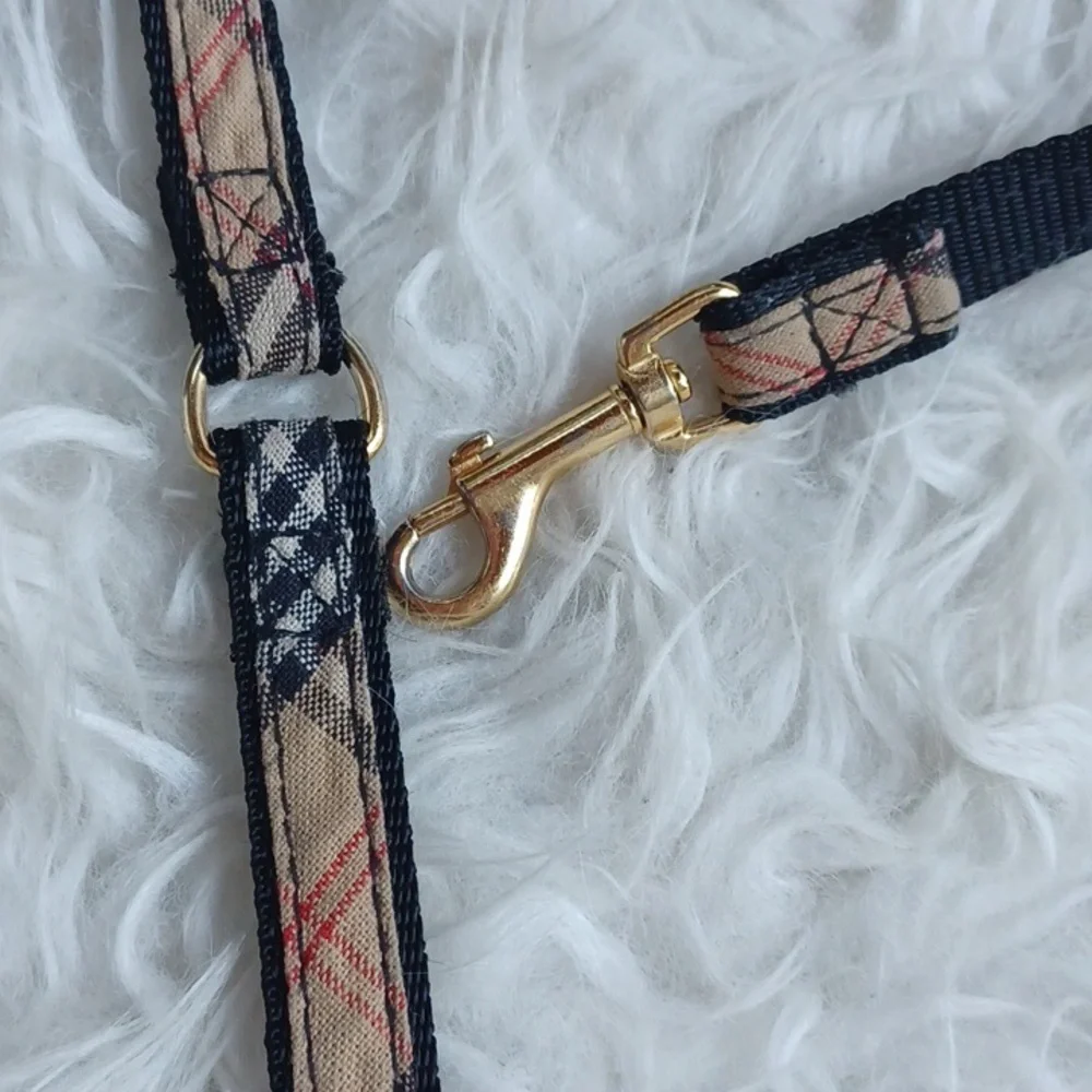 Leash